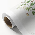Neoclassical Silver-Flowered Hispid Rose Classical Art Print