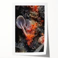 Extra large rolled print of close-up floral elements in natural colors, ideal for dining room wall art.