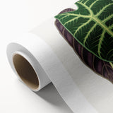 Romanticism Art: Alocasia Leaf Botanical Illustration Canvas Print