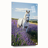 Acrylic glass display of a vibrant landscape featuring a serene countryside scene, showcased from a side view with decorative pins for enhanced presentation.