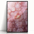 Large abstract wall art featuring a close-up of natural elements in muted earth tones on a framed acrylic print.