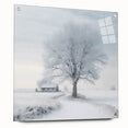 Acrylic print of a winter scene with snow-covered trees in muted white and gray tones.