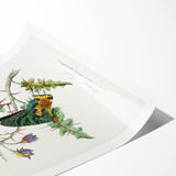 Romanticism Art: Vibrant Butterfly Illustration Canvas Print