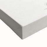 Romanticism Art: Vibrant Butterfly Illustration Canvas Print