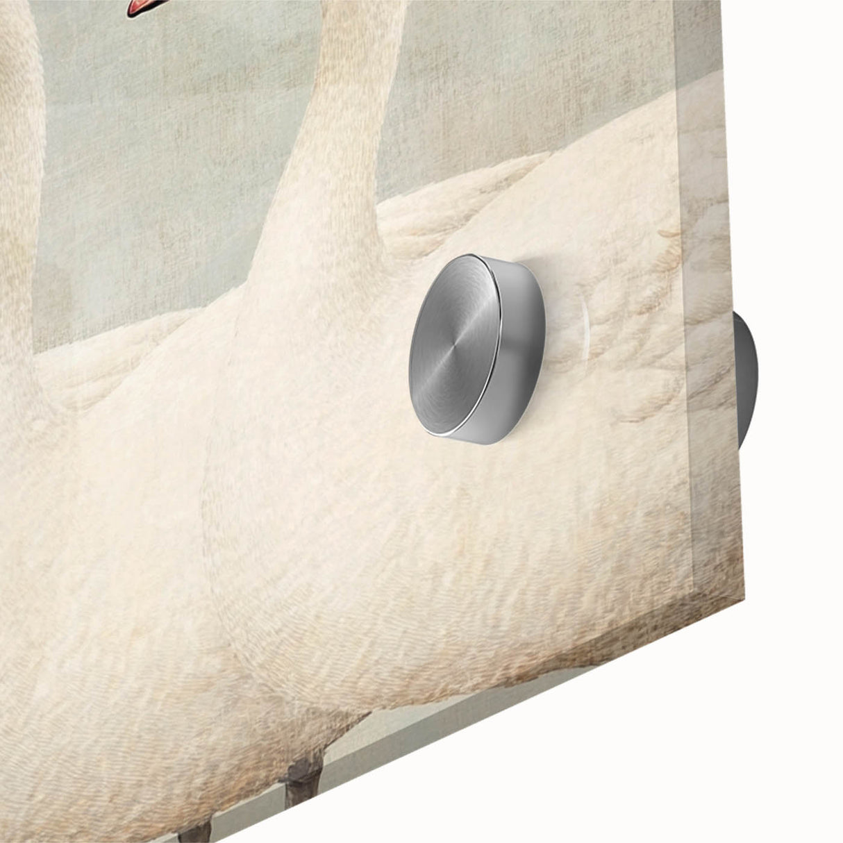 Vintage Geese Nursery Wall Art - Framed Baby Art Prints