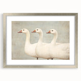 Vintage Geese Nursery Wall Art - Framed Baby Art Prints
