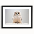 Adorable Baby Owl Wall Art - Perfect for Kids Room Decor