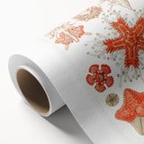 Modern Wall Art: Asteridea Design in Vibrant Coral Tones