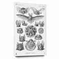 Modern Wall Art: Chiroptera Study - Contemporary Nature Print