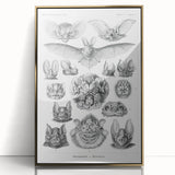 Modern Wall Art: Chiroptera Study - Contemporary Nature Print