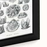 Modern Wall Art: Chiroptera Study - Contemporary Nature Print