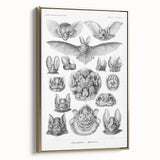 Modern Wall Art: Chiroptera Study - Contemporary Nature Print