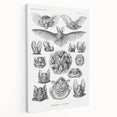 Modern Wall Art: Chiroptera Study - Contemporary Nature Print