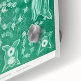 Modern Wall Art: Siphonophorae Study - Abstract Nature Design