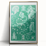Modern Wall Art: Siphonophorae Study - Abstract Nature Design