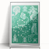 Modern Wall Art: Siphonophorae Study - Abstract Nature Design