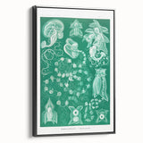 Modern Wall Art: Siphonophorae Study - Abstract Nature Design