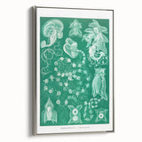 Modern Wall Art: Siphonophorae Study - Abstract Nature Design