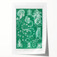 Modern Wall Art: Siphonophorae Study - Abstract Nature Design