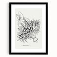 Modern Wall Art: Basket of Flowers - Minimalist Monochrome Print