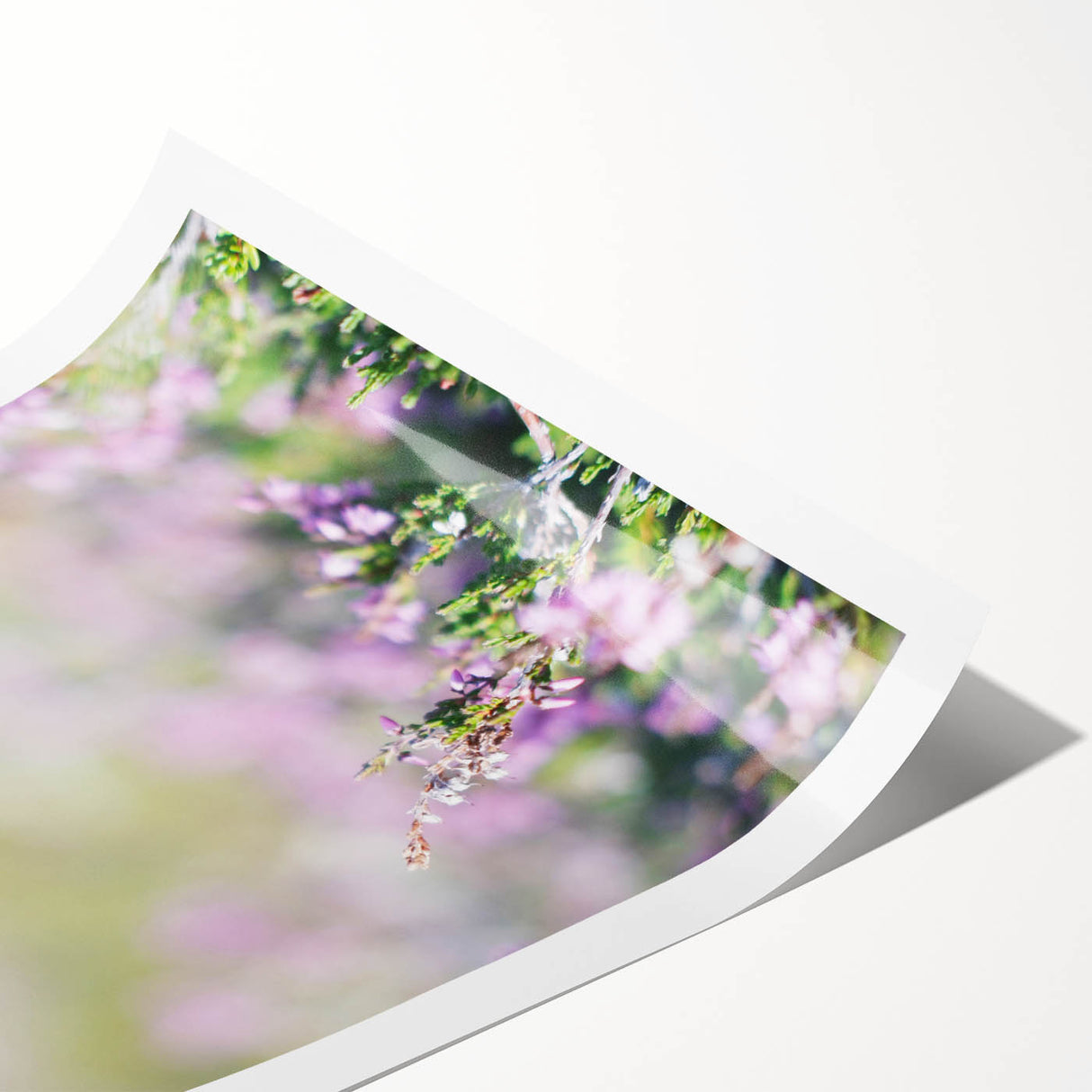 Extra large rolled canvas print featuring line art flowers in soft pastel hues, ideal for large living room wall art.