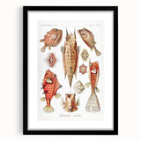Modern Wall Art: Boxfish Study - Vibrant Marine Life Print
