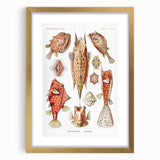 Modern Wall Art: Boxfish Study - Vibrant Marine Life Print