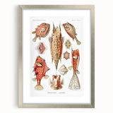 Modern Wall Art: Boxfish Study - Vibrant Marine Life Print