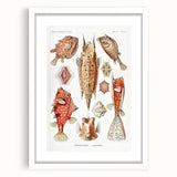 Modern Wall Art: Boxfish Study - Vibrant Marine Life Print