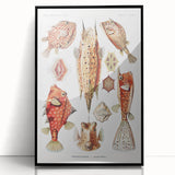 Modern Wall Art: Boxfish Study - Vibrant Marine Life Print