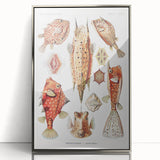 Modern Wall Art: Boxfish Study - Vibrant Marine Life Print