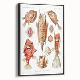 Modern Wall Art: Boxfish Study - Vibrant Marine Life Print