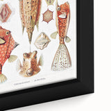 Modern Wall Art: Boxfish Study - Vibrant Marine Life Print