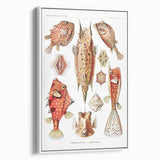 Modern Wall Art: Boxfish Study - Vibrant Marine Life Print