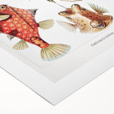 Modern Wall Art: Boxfish Study - Vibrant Marine Life Print
