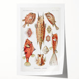 Modern Wall Art: Boxfish Study - Vibrant Marine Life Print