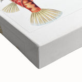 Modern Wall Art: Boxfish Study - Vibrant Marine Life Print