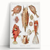 Modern Wall Art: Boxfish Study - Vibrant Marine Life Print