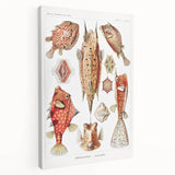 Modern Wall Art: Boxfish Study - Vibrant Marine Life Print