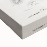 Romanticism Art: Dracaena Brasiliensis Botanical Illustration Canvas