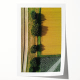 Rolled print of serene countryside landscape featuring rolling hills and vibrant greenery, elegantly packaged in a protective cardboard tube for easy display.