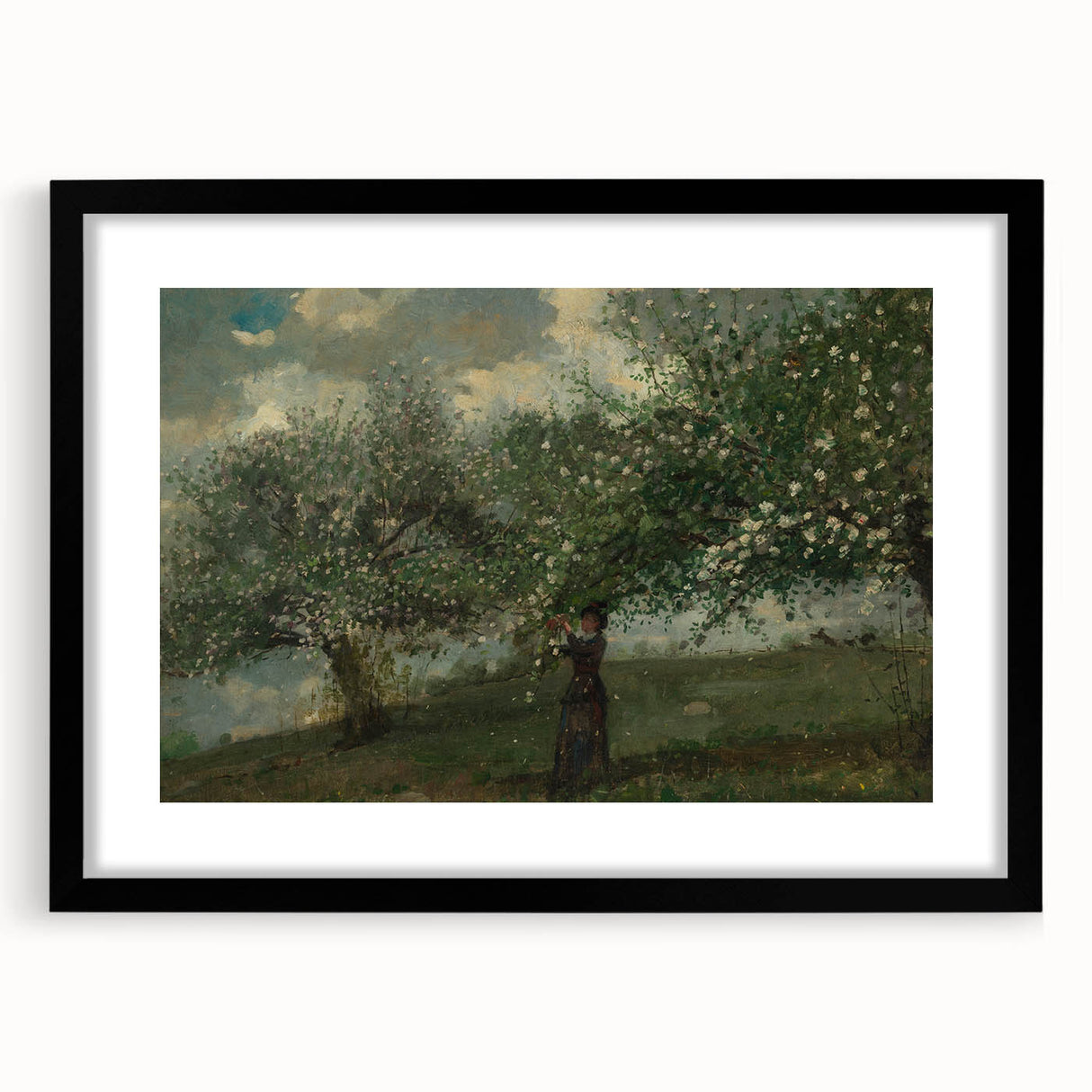 Girl Picking Apple Blossoms Realism Art Print - Classical Realism Canvas