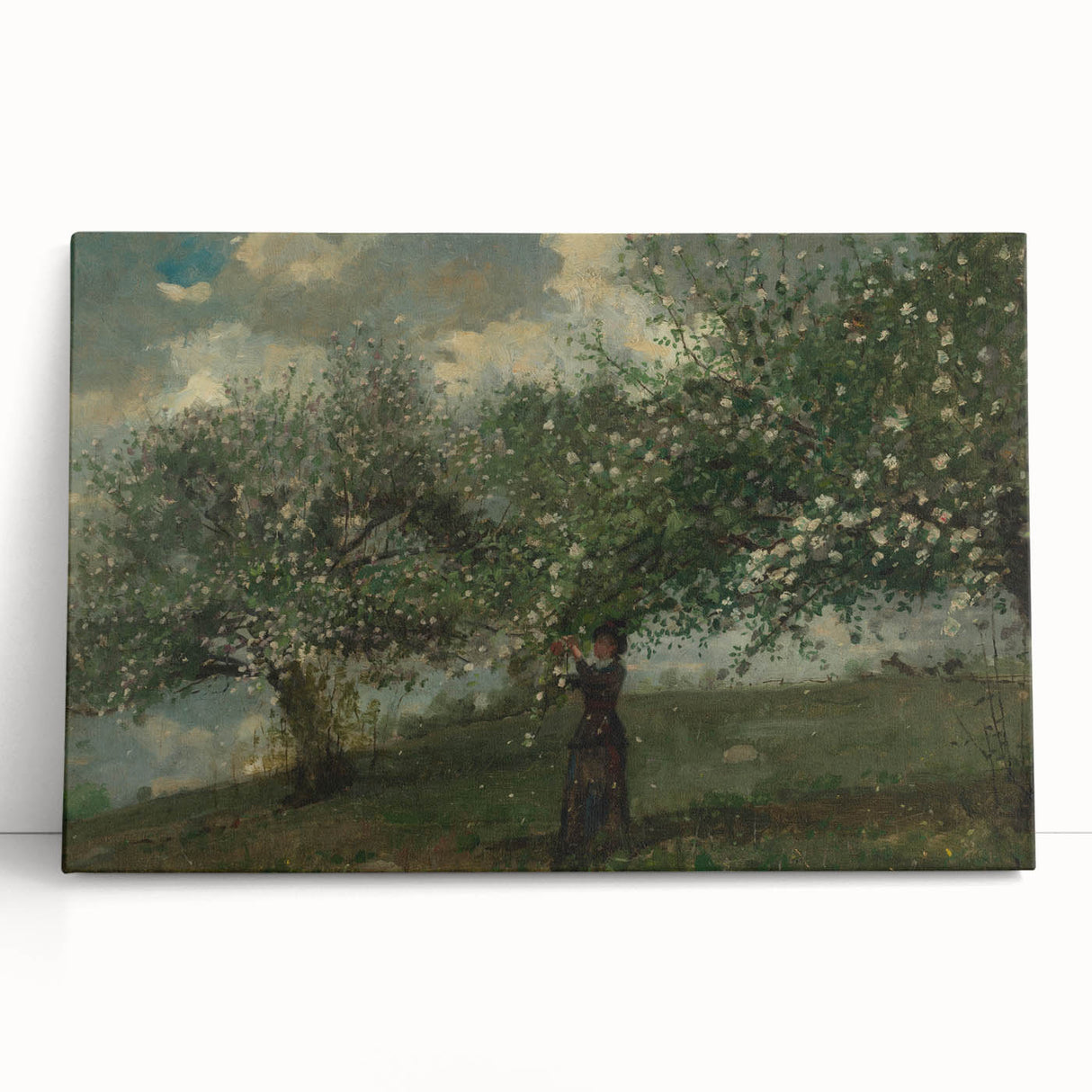 Girl Picking Apple Blossoms Realism Art Print - Classical Realism Canvas