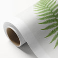 Athyrium Filix–Femina Lady Fern Print - Detailed Realism Botanical Art