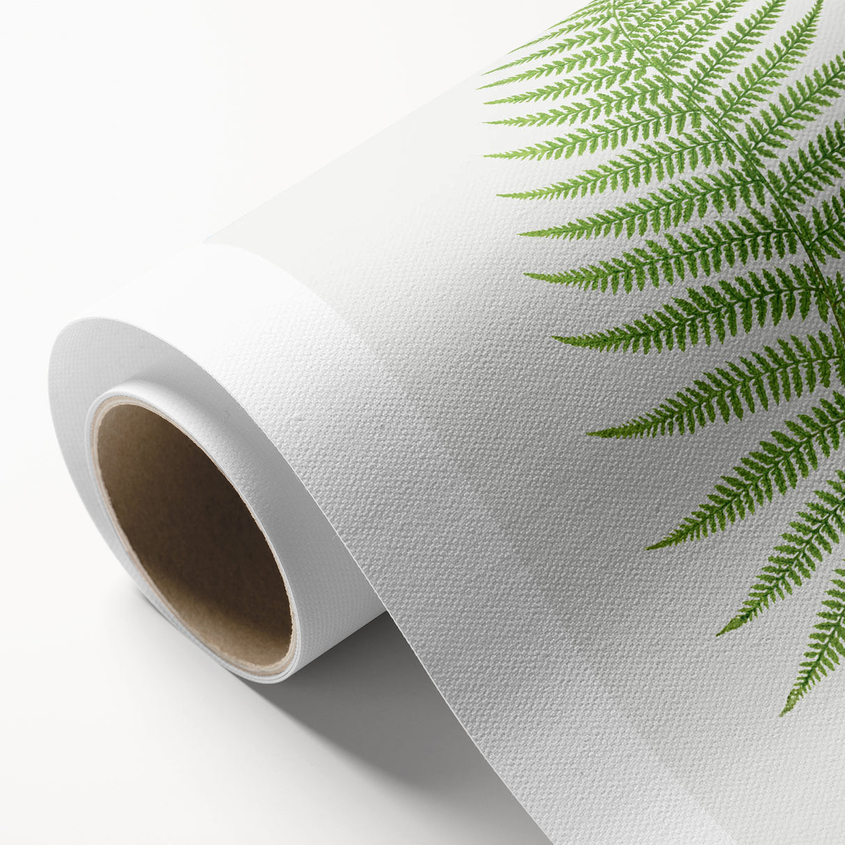 Athyrium Filix–Femina Lady Fern Print - Detailed Realism Botanical Art