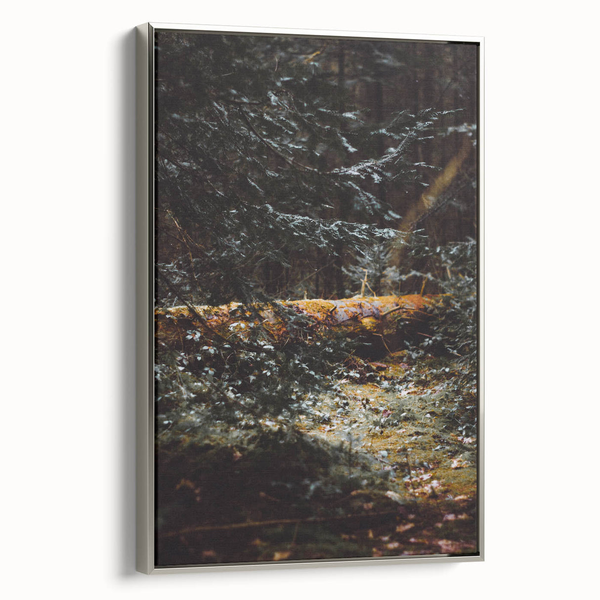 Framed canvas featuring a vintage landscape painting of autumn trees in vibrant orange and red tones.