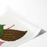 Romanticism Art: Bertolonia Guttata Botanical Illustration Canvas