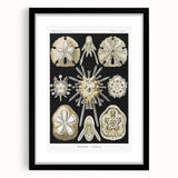 Modern Wall Art: Geometric Woman - Bold Abstract Feminine Print