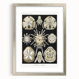 Modern Wall Art: Geometric Woman - Bold Abstract Feminine Print