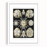 Modern Wall Art: Geometric Woman - Bold Abstract Feminine Print